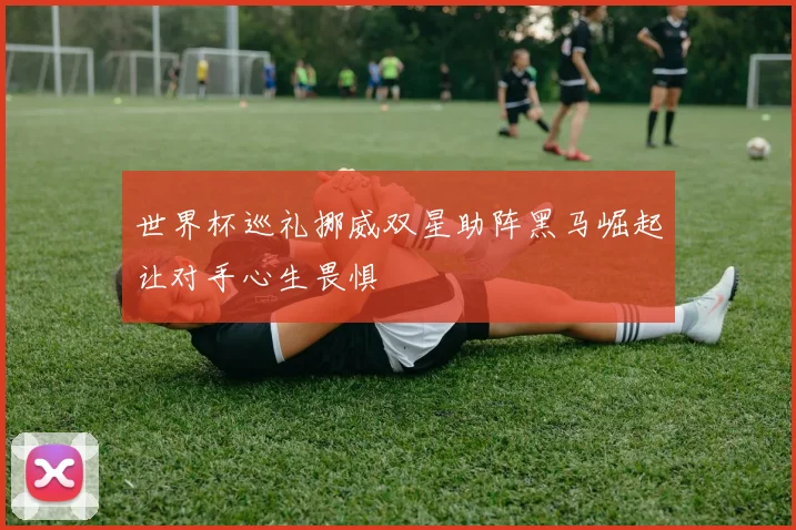 世界杯巡礼挪威双星助阵黑马崛起让对手心生畏惧