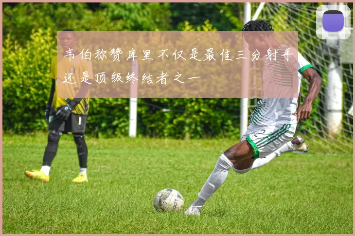 韦伯称赞库里不仅是最佳三分射手还是顶级终结者之一
